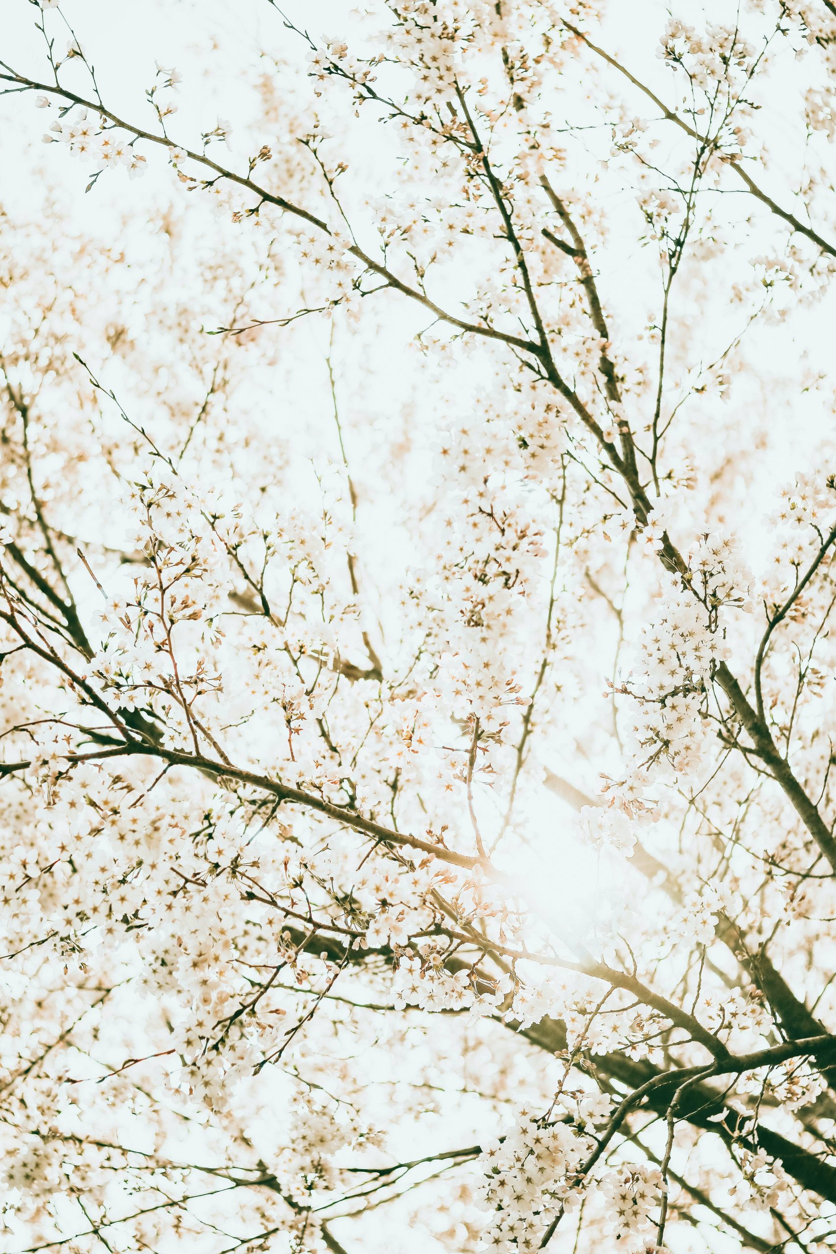 5th Sunday of Easter, Year A - The Summit Online