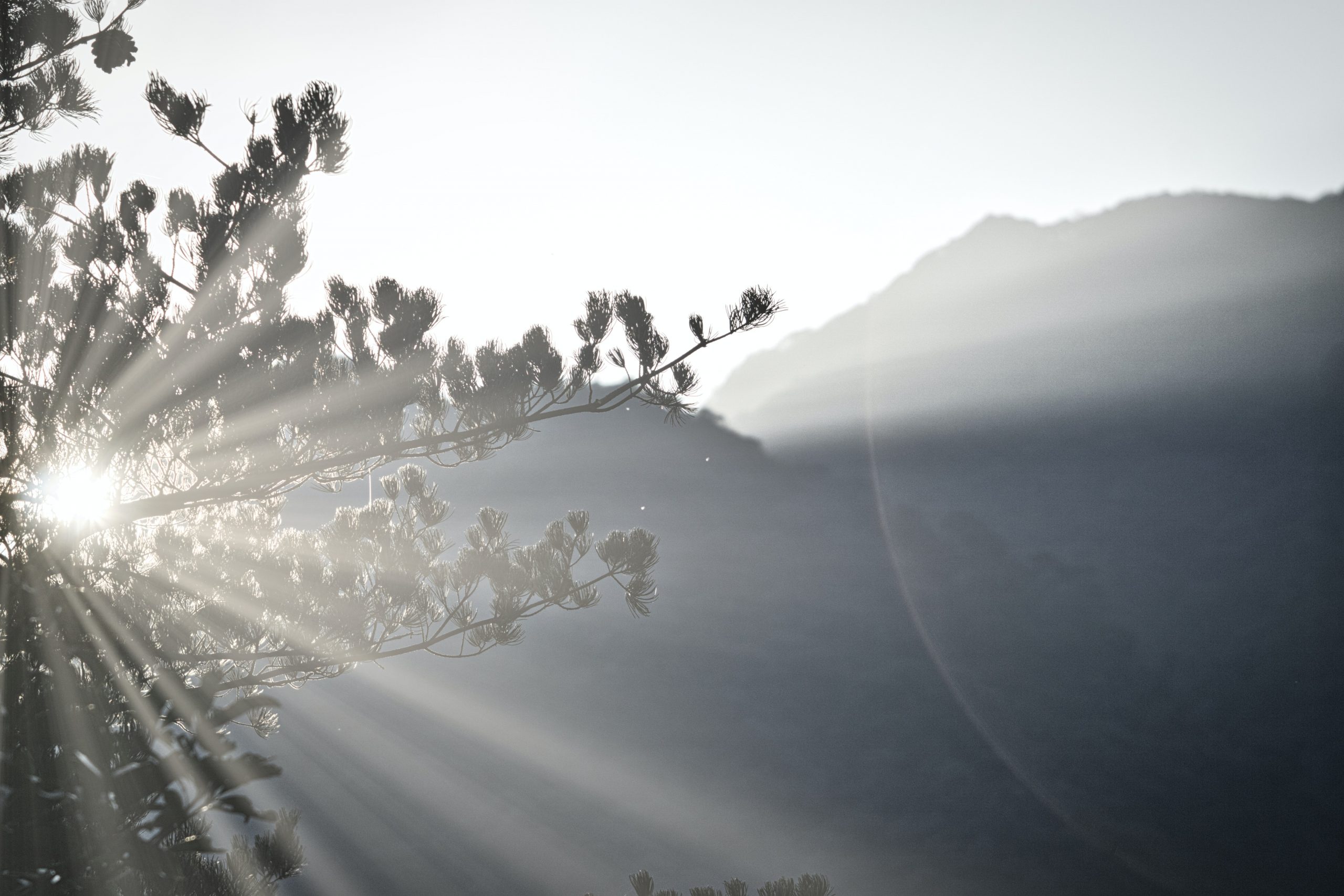 2nd Sunday of Easter (Divine Mercy), Year A - The Summit Online